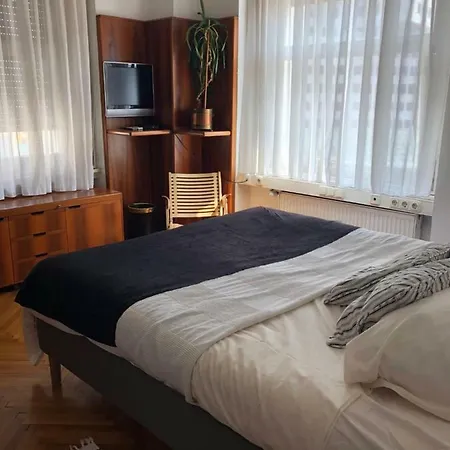 Lawyers Loft In Heritage Skyscraper לובליאנה